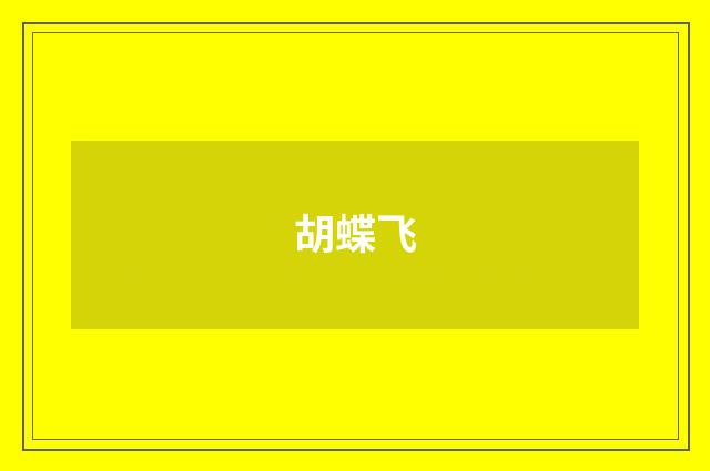 胡蝶飞
