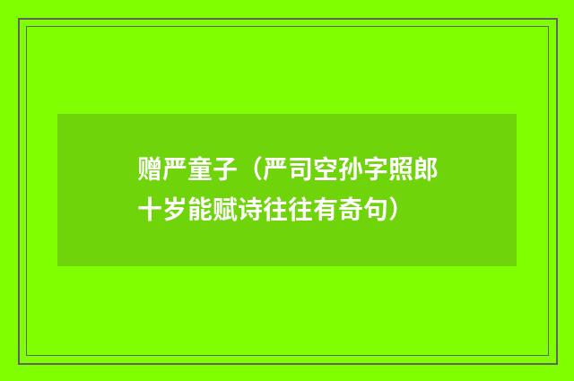 赠严童子（严司空孙字照郎十岁能赋诗往往有奇句）