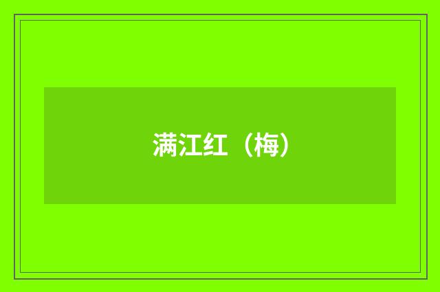 满江红（梅）