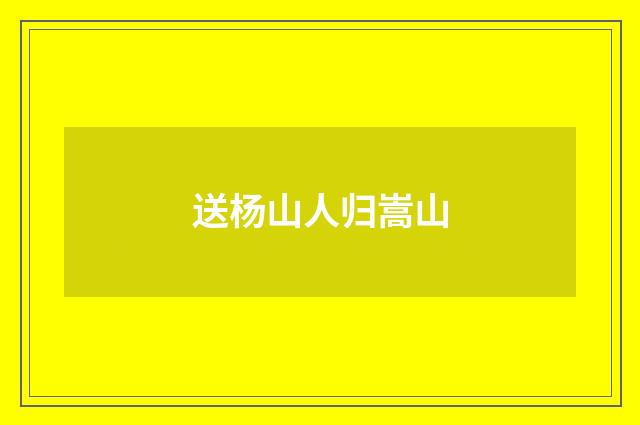 送杨山人归嵩山