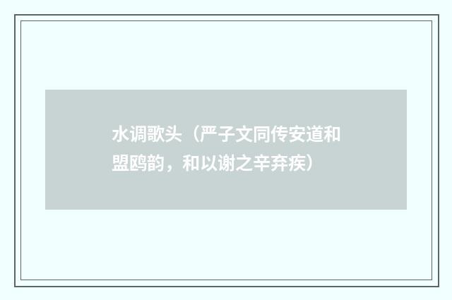 水调歌头（严子文同传安道和盟鸥韵，和以谢之辛弃疾）