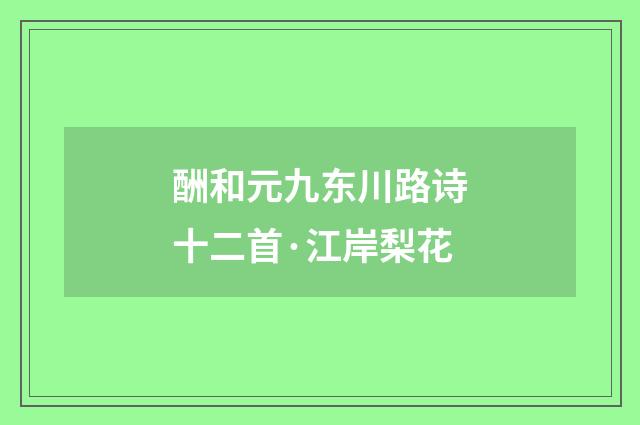 酬和元九东川路诗十二首·江岸梨花