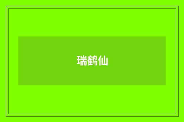 瑞鹤仙