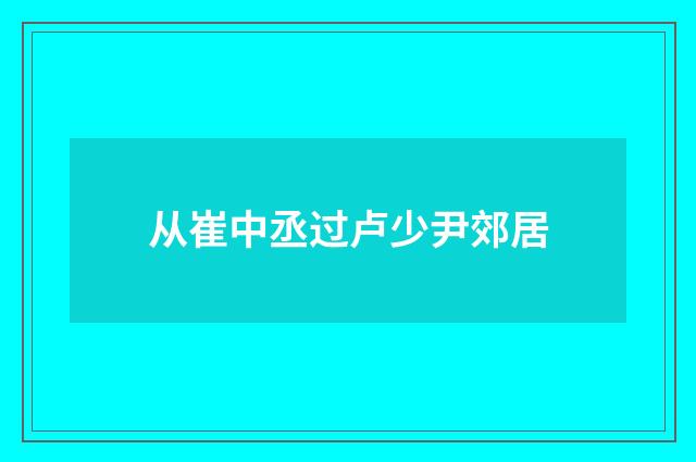 从崔中丞过卢少尹郊居