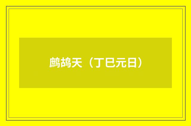 鹧鸪天（丁巳元日）