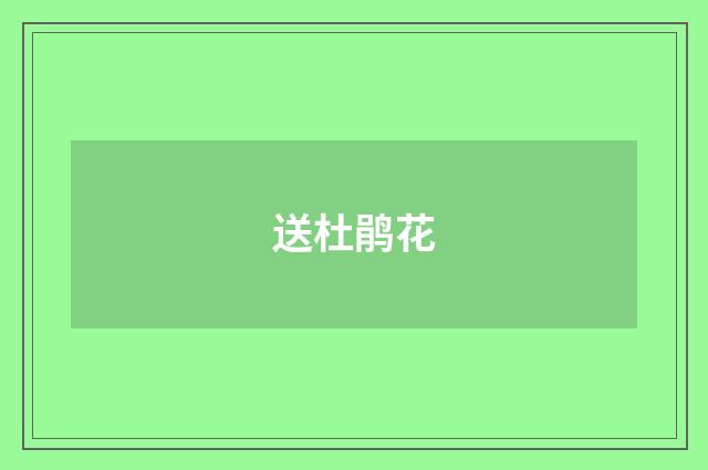 送杜鹃花