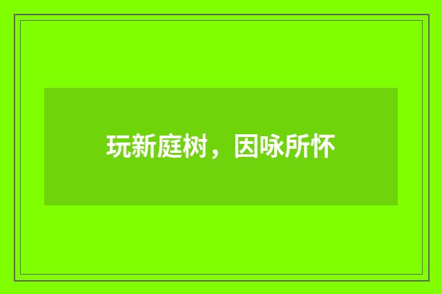 玩新庭树，因咏所怀