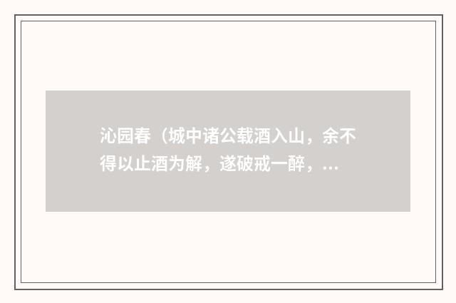 沁园春（城中诸公载酒入山，余不得以止酒为解，遂破戒一醉，再用韵）