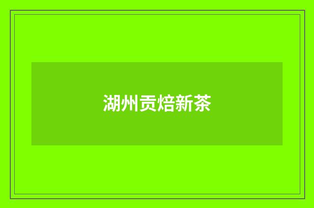 湖州贡焙新茶