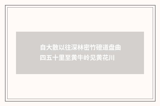 自大散以往深林密竹磴道盘曲四五十里至黄牛岭见黄花川
