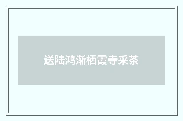 送陆鸿渐栖霞寺采茶