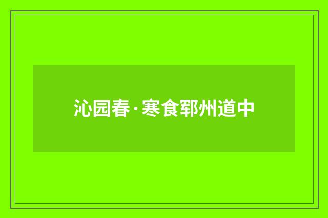 沁园春·寒食郓州道中