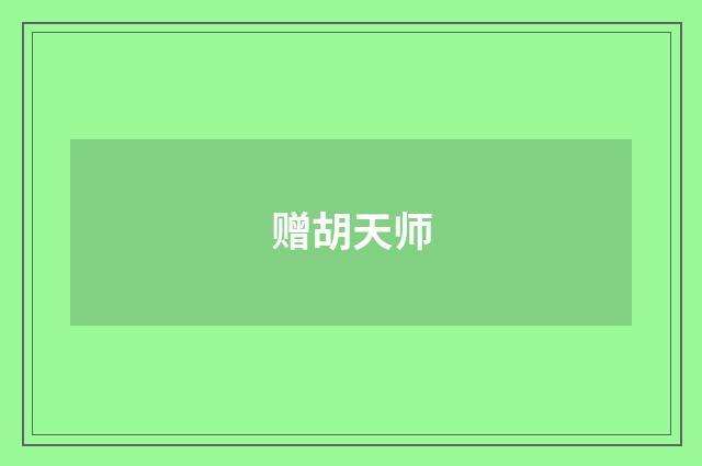赠胡天师