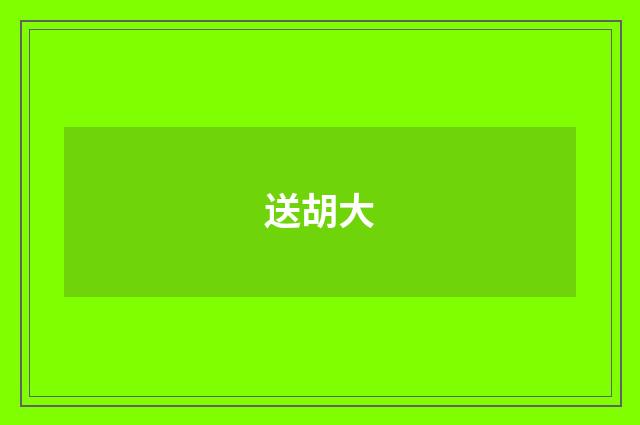 送胡大