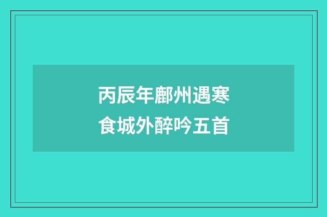 丙辰年鄜州遇寒食城外醉吟五首