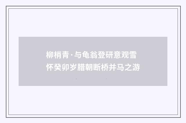 柳梢青·与龟翁登研意观雪怀癸卯岁腊朝断桥并马之游