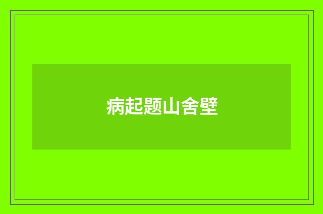 病起题山舍壁
