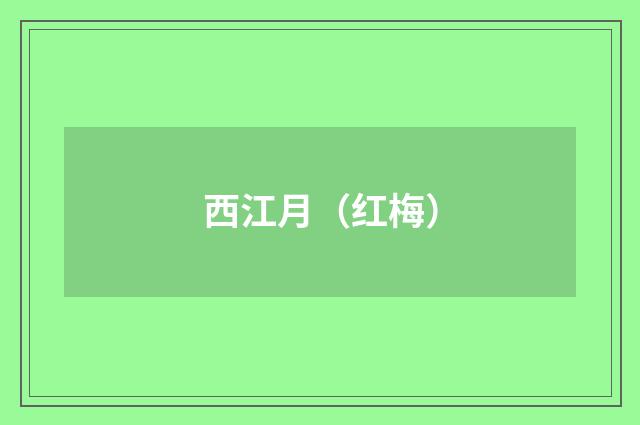 西江月（红梅）