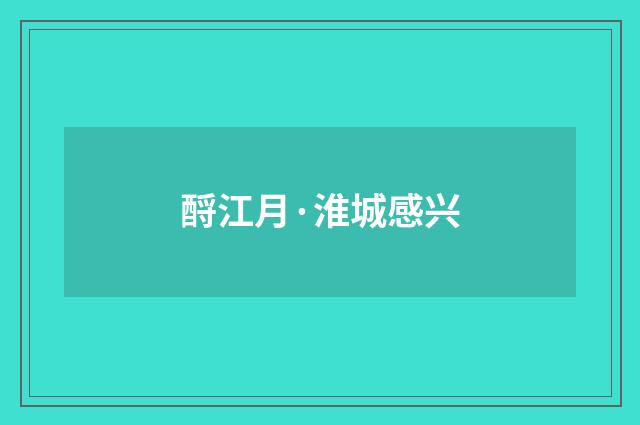 酹江月·淮城感兴