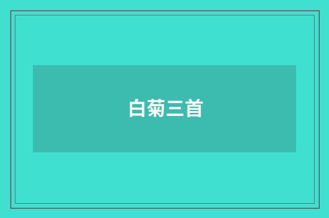 白菊三首