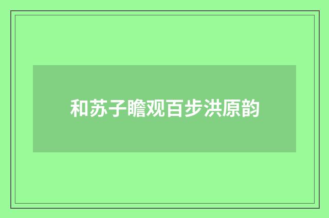 和苏子瞻观百步洪原韵