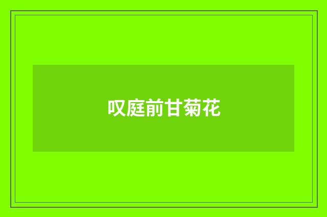 叹庭前甘菊花