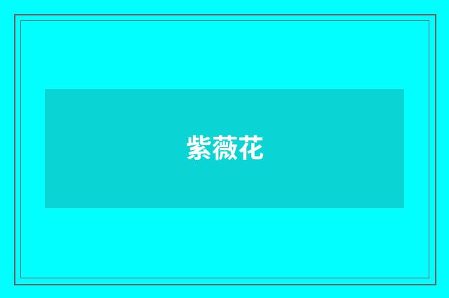 紫薇花