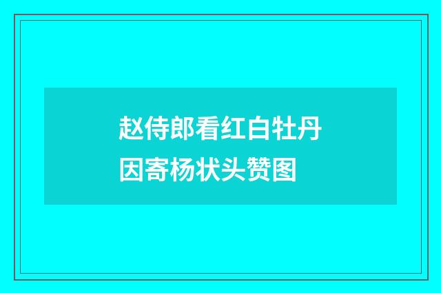 赵侍郎看红白牡丹因寄杨状头赞图