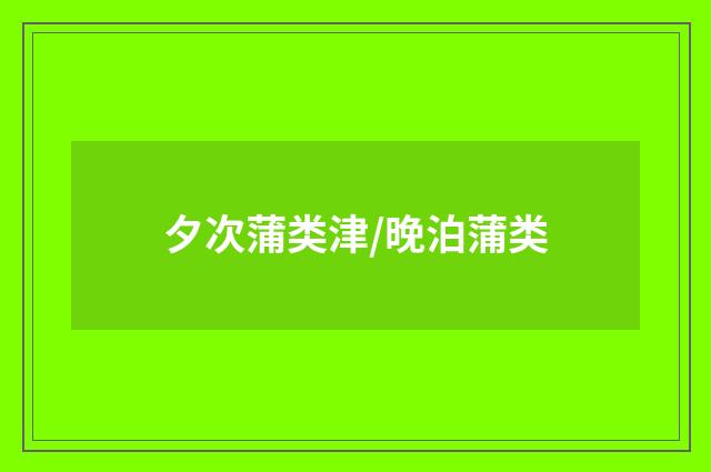 夕次蒲类津/晚泊蒲类