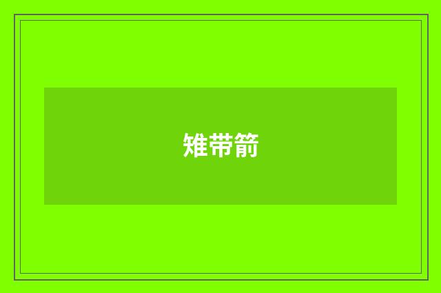 雉带箭