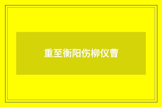 重至衡阳伤柳仪曹