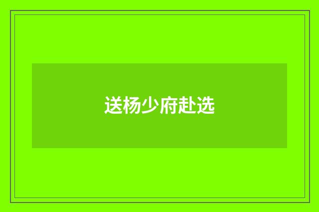 送杨少府赴选