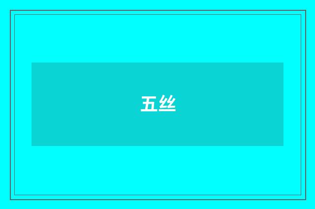 五丝
