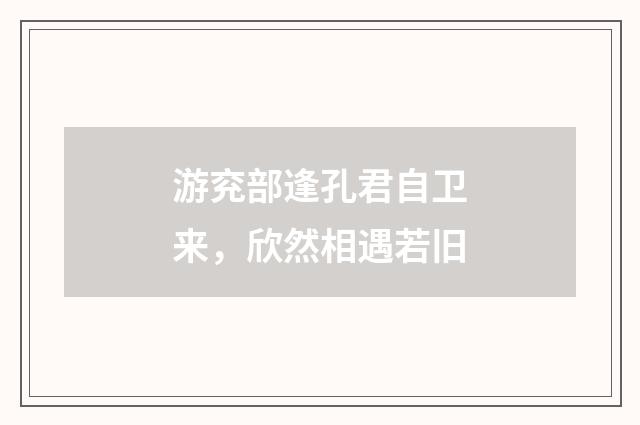 游兖部逢孔君自卫来，欣然相遇若旧