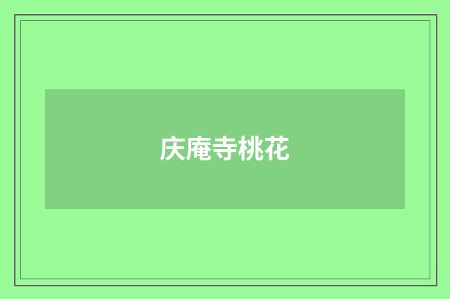 庆庵寺桃花