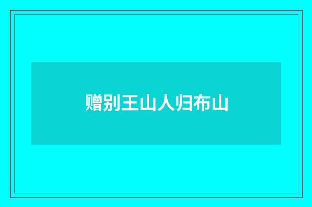 赠别王山人归布山