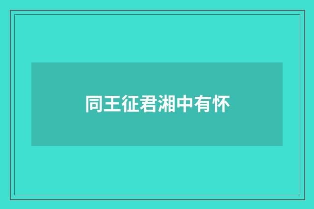 同王征君湘中有怀