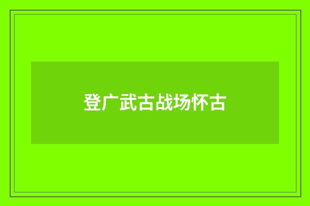 登广武古战场怀古