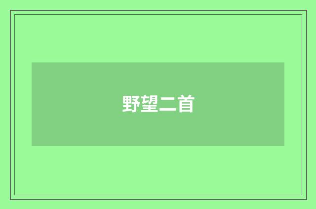 野望二首