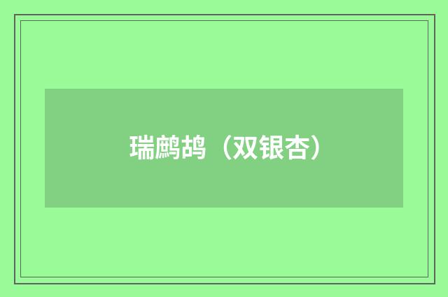 瑞鹧鸪（双银杏）