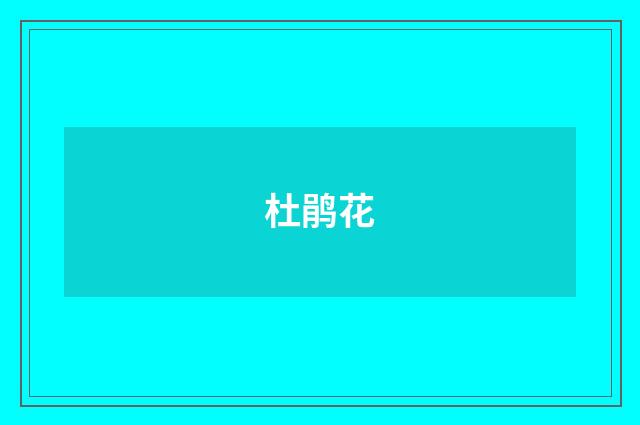 杜鹃花