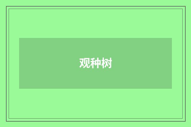 观种树