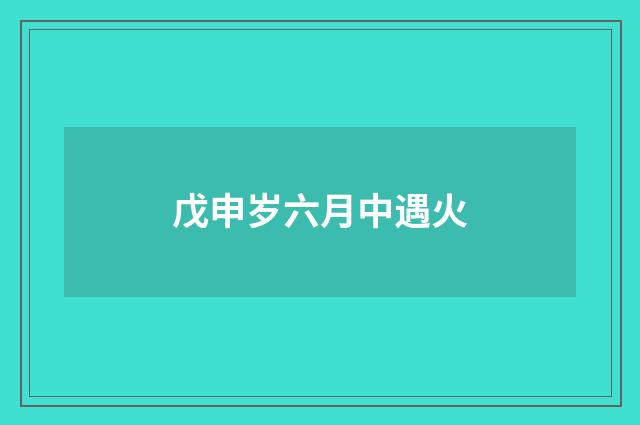 戊申岁六月中遇火