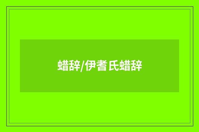 蜡辞/伊耆氏蜡辞