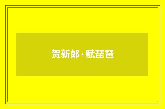 贺新郎·赋琵琶