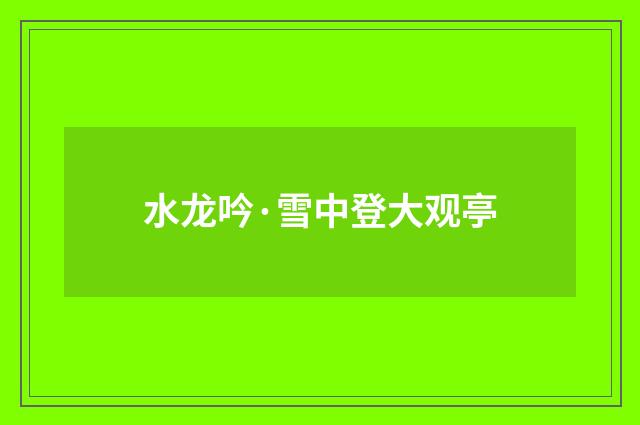 水龙吟·雪中登大观亭