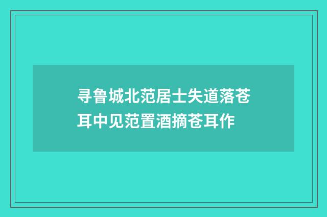 寻鲁城北范居士失道落苍耳中见范置酒摘苍耳作