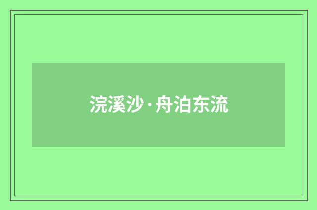 浣溪沙·舟泊东流