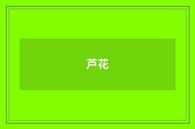 芦花