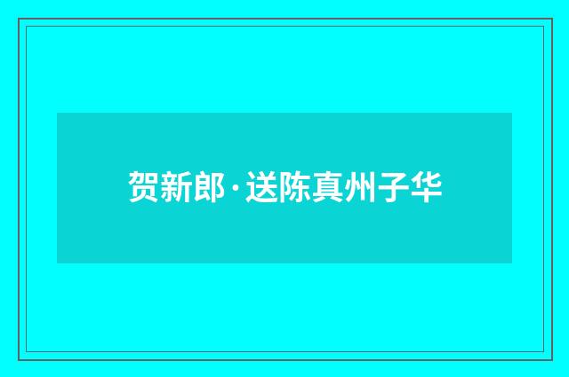 贺新郎·送陈真州子华
